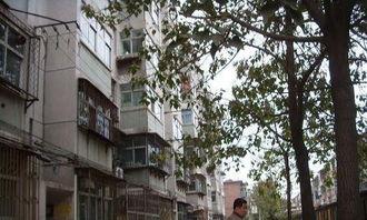 丛台区望岭西路新闻头条