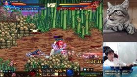 子熙爆料的忍者是谁啊视频,子熙爆料忍者身份大揭秘