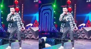 网红歌曲dj舞女泪,探寻流行音乐背后的情感故事