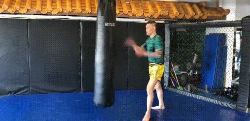 香港武功排名明星,武功排名明星盘点