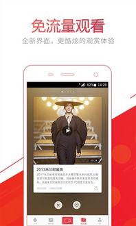 头条优质视频号有哪些,内容创新与传播力双赢之道