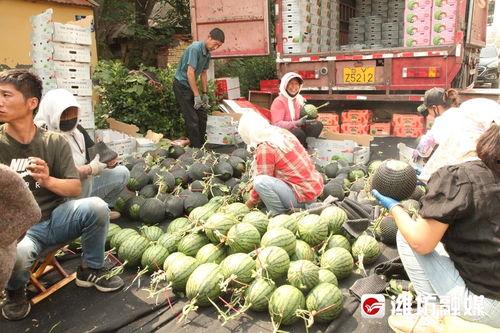 庄河吃瓜事件70万,揭秘70万背后的真相与争议